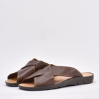 WALKING BROWN﻿ 2