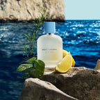 Dolce & Gabbana Light Blue Eau de Toilette Parfum Homme