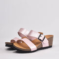 BIRK ROSE﻿ 2