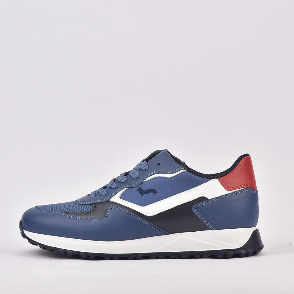 HARMONT AND BLAINE SCARPA UOMO CALF AZZURRO ﻿ 6