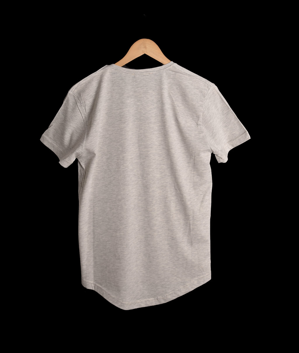 T-shirt GRIS 2 *THE NORTH REMEMBERS *