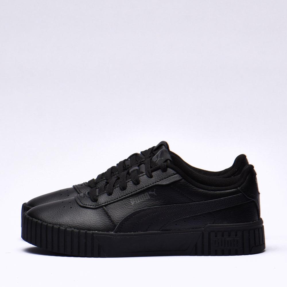 Puma carina 2.0﻿ 3