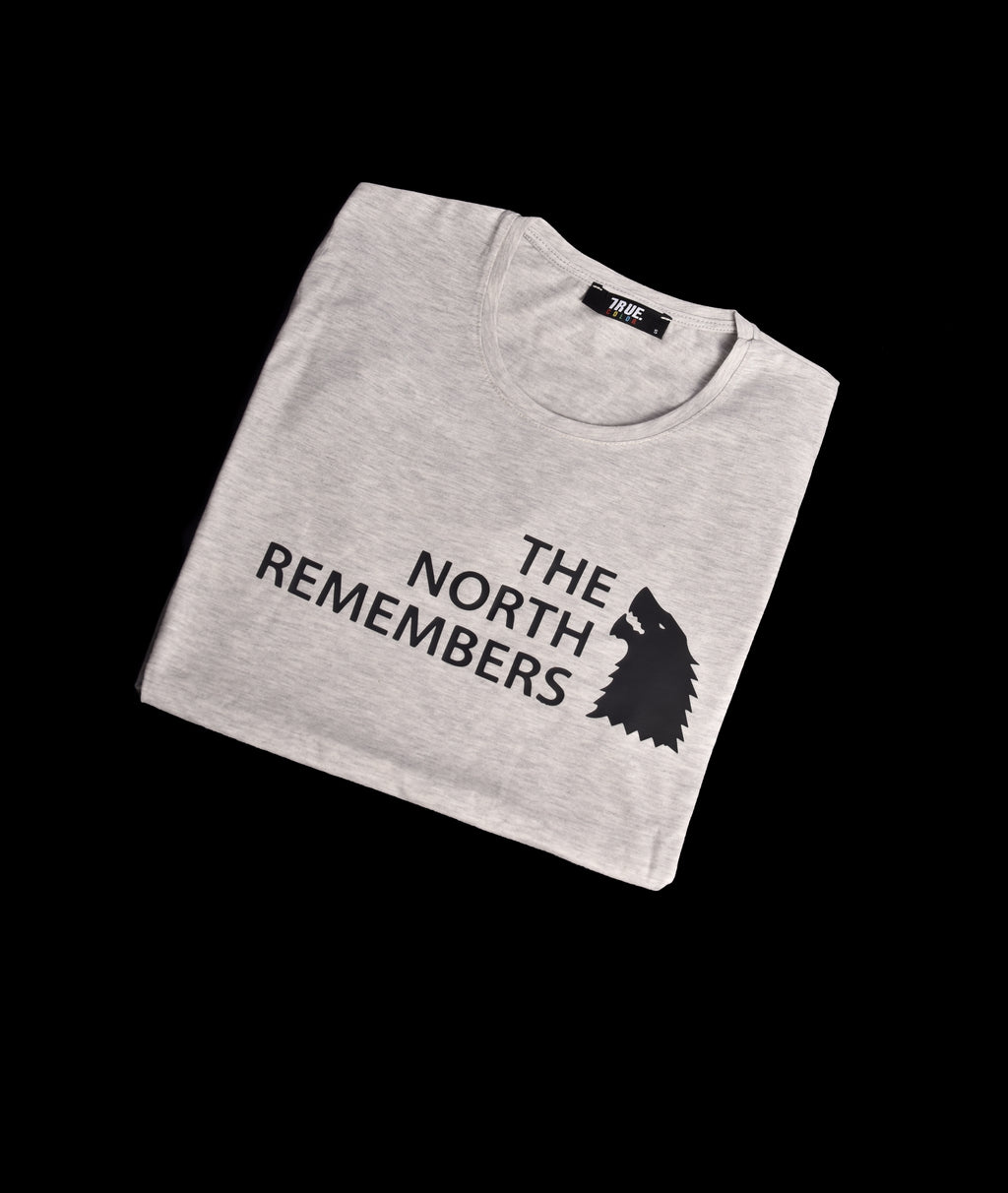 T-shirt GRIS 2 *THE NORTH REMEMBERS *