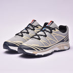AuraSole GreyGold﻿ 5