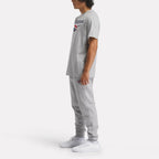 Reebok T-Shirt Logo Classique Gris Homme