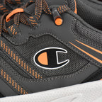 Champion﻿ 6