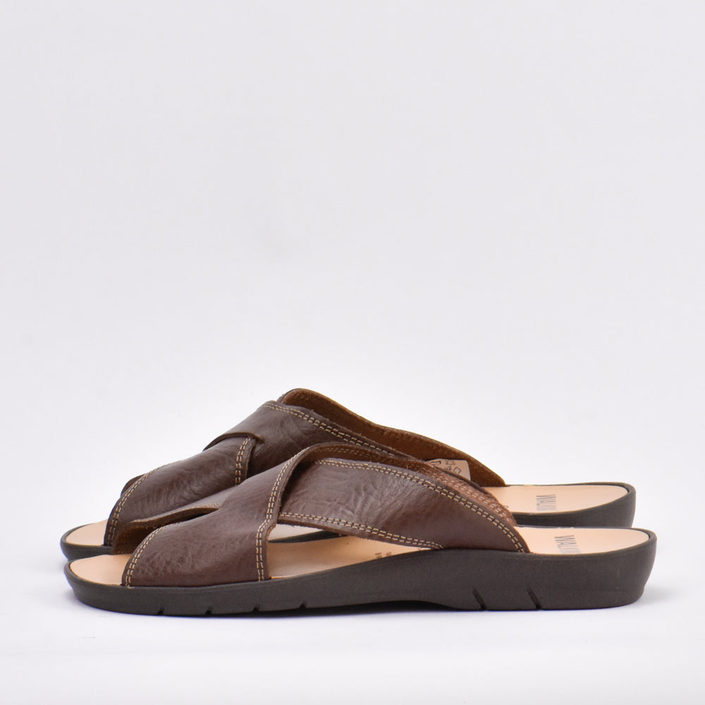 WALKING BROWN﻿ 3