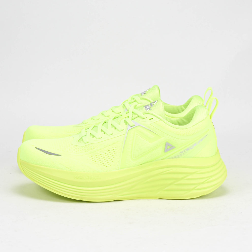 Peak Chaussures de Running Taichi Amorti Homme