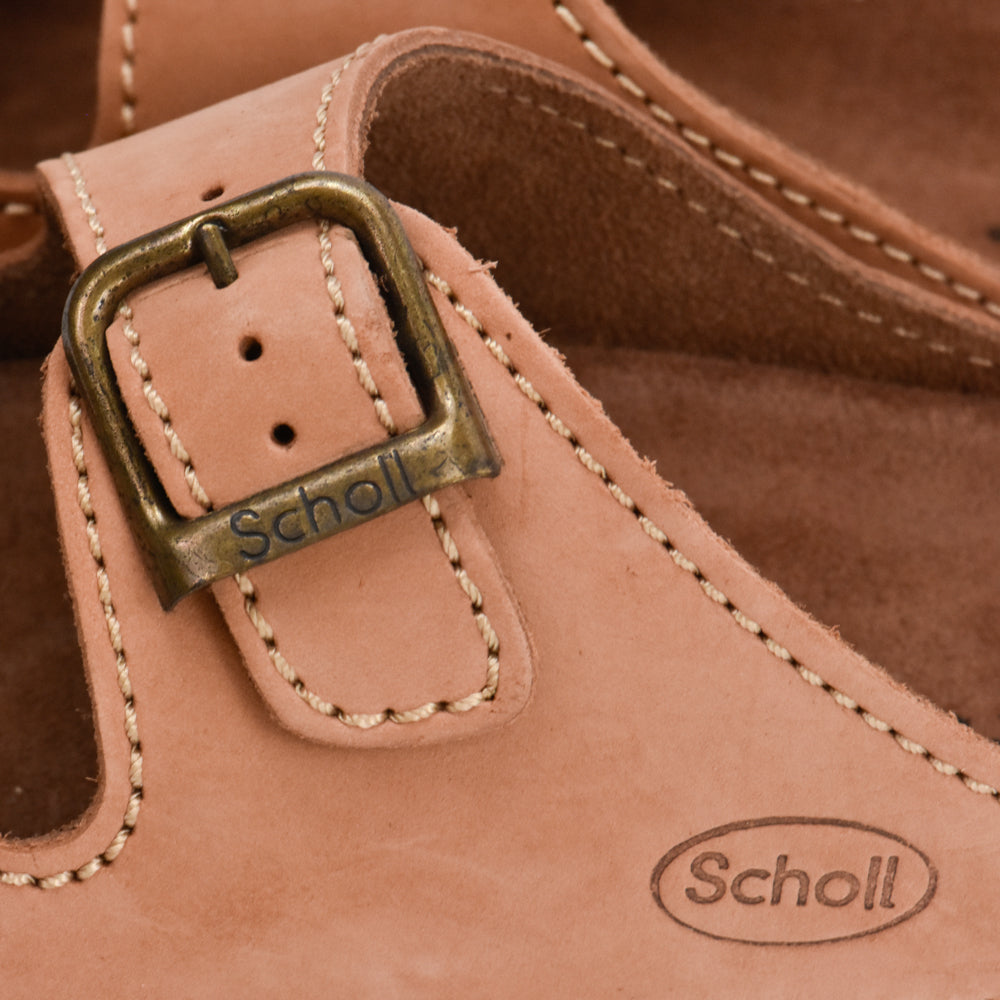 Scholl Pink﻿ 6