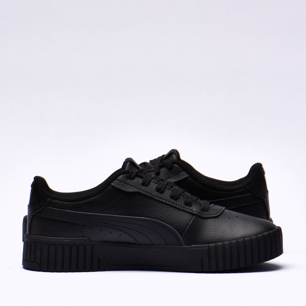 Puma carina 2.0﻿ 4