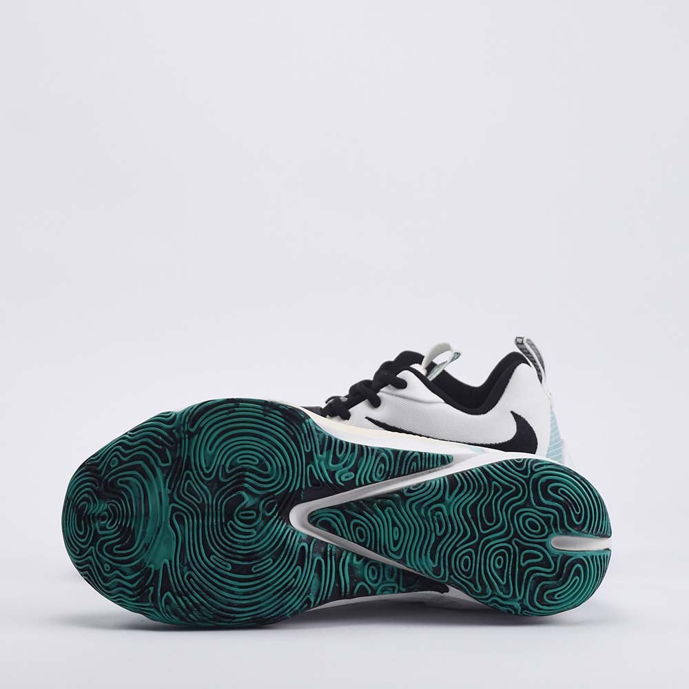 Nike Zoom Freak Chaussures de Basketball Performance Homme