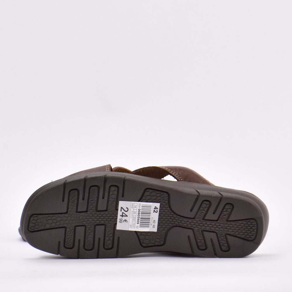 WALKING BROWN﻿ 4