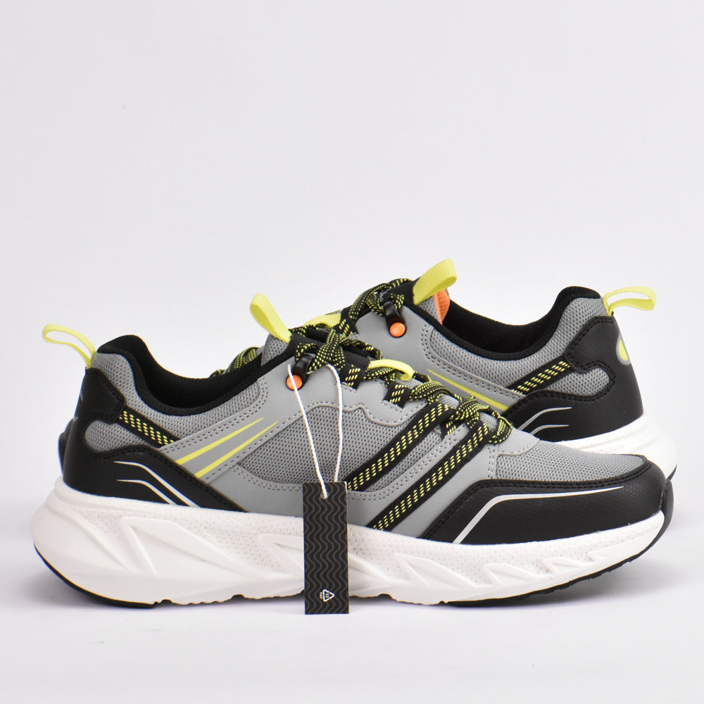 Champion﻿ 5