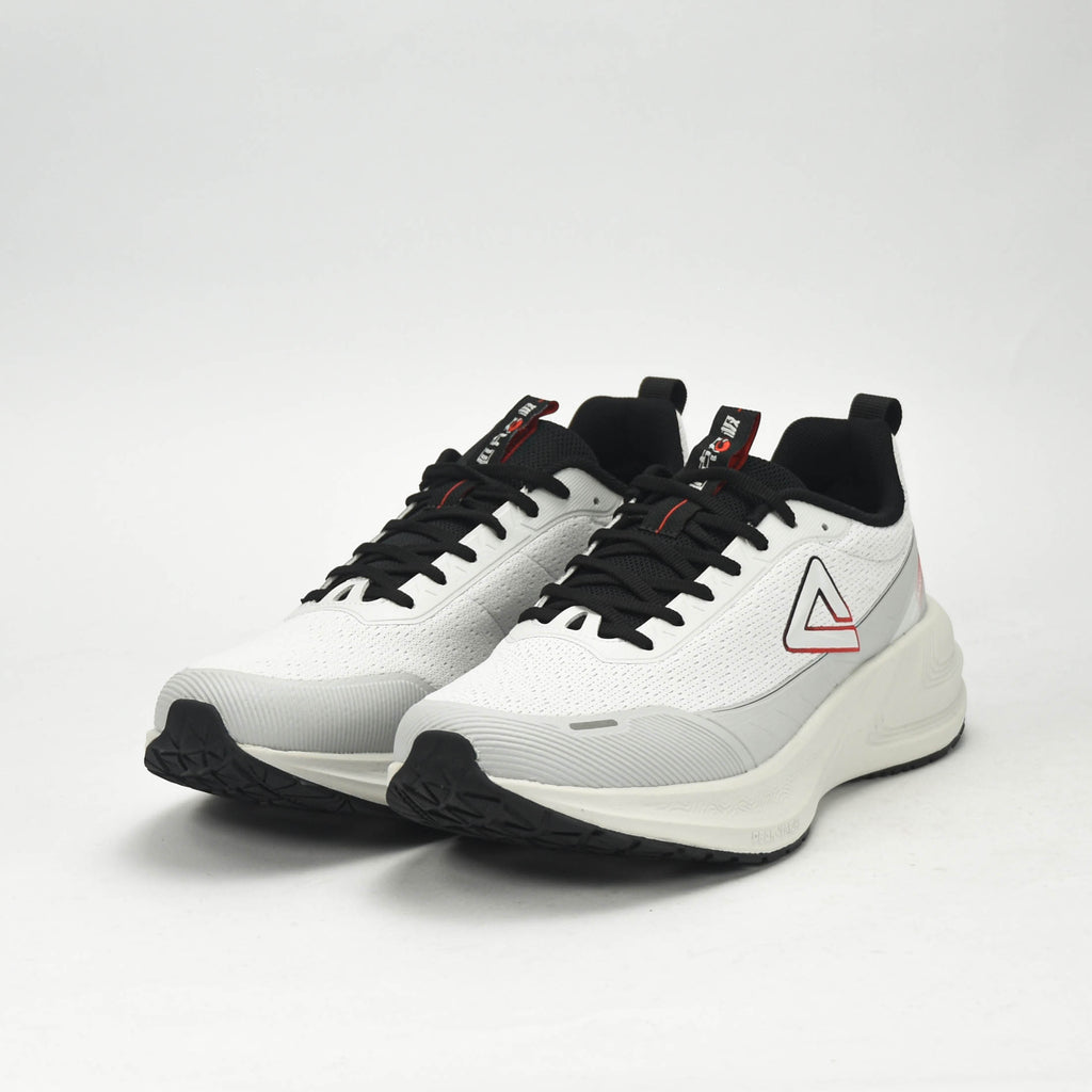 Peak Chaussures de Running Taichi Amorti Homme