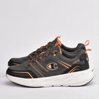 Champion﻿ 3