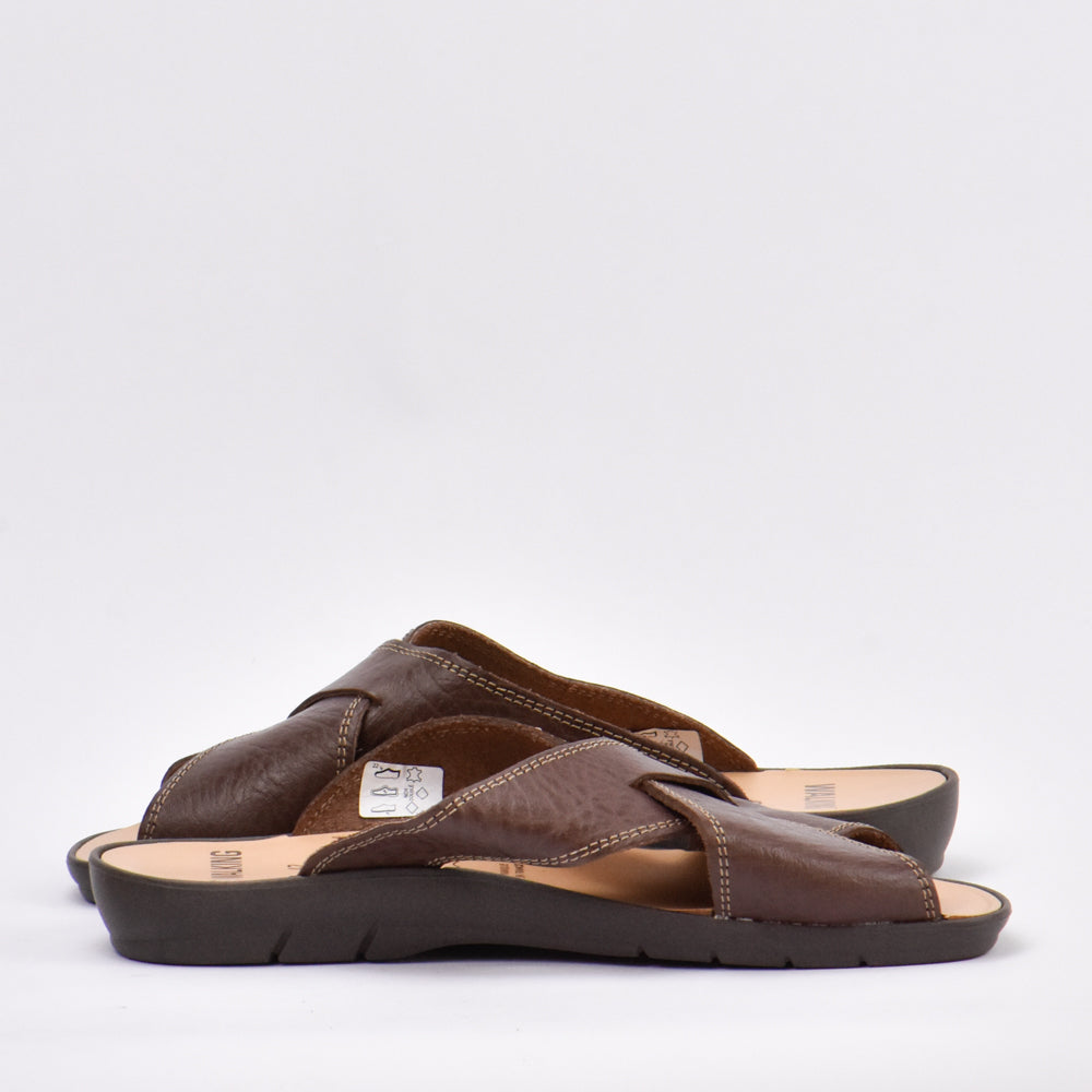 WALKING BROWN﻿ 5