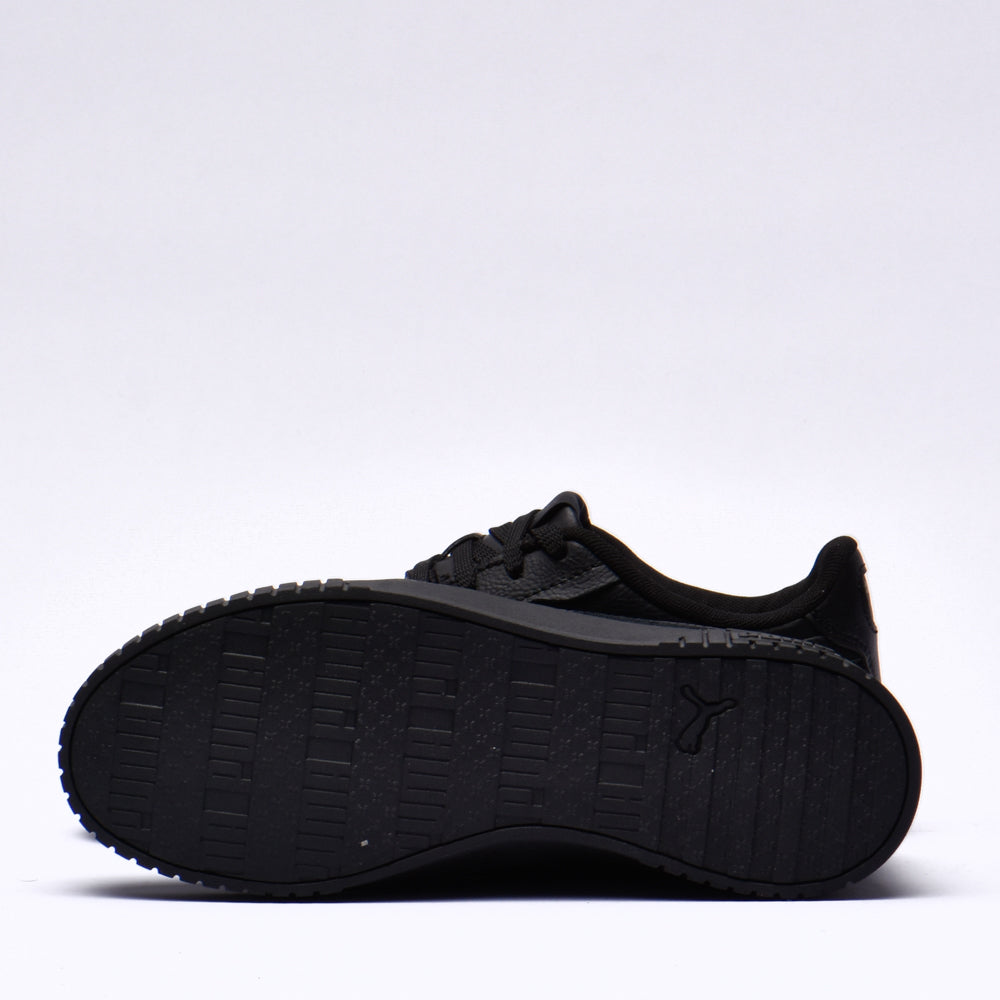 Puma carina 2.0﻿ 5