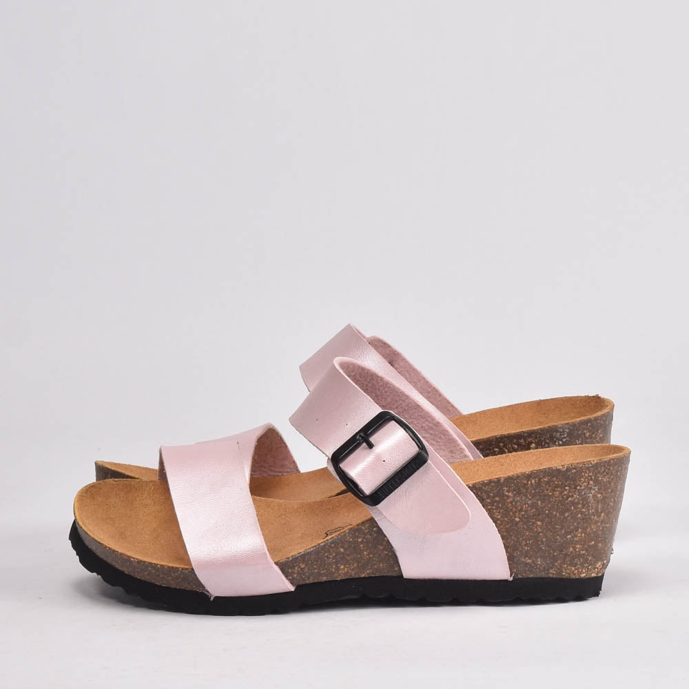 BIRK ROSE﻿ 5